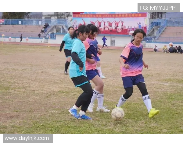 足球场上的梦想与拼搏人生 永不言弃的冠军之路